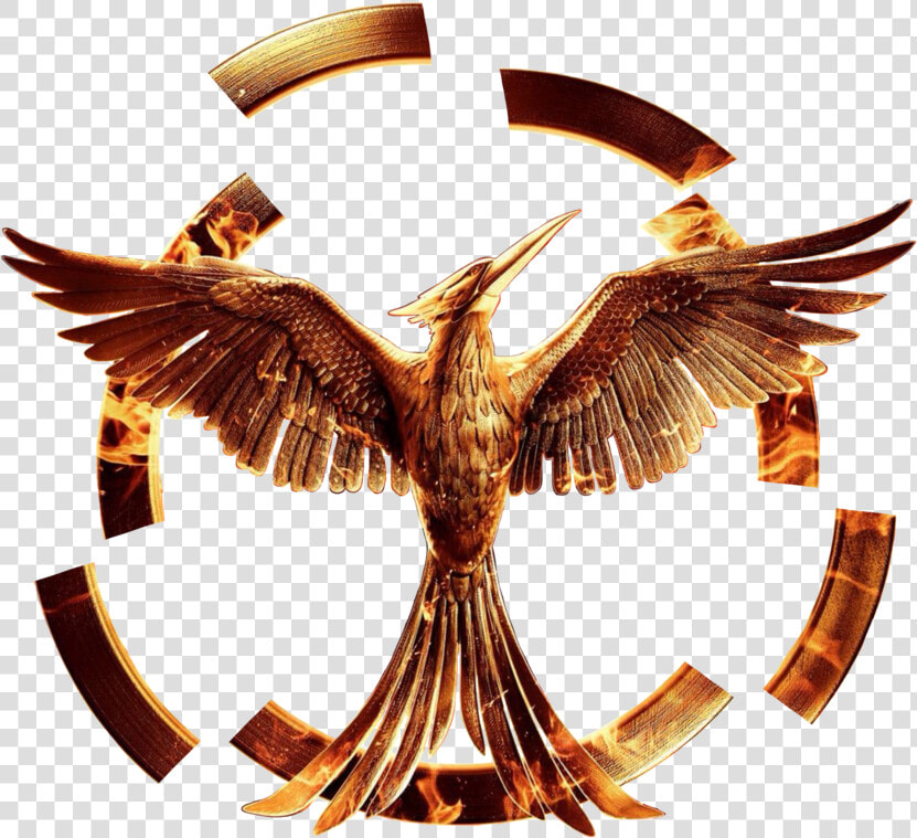 Hunger Games Mockingjay Png  Transparent PngTransparent PNG