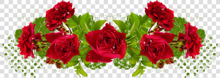 Tube Roses Rouges   Floribunda  HD Png DownloadTransparent PNG