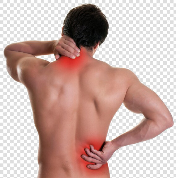 Back Pain Png Free Download   Back Pain Png  Transparent PngTransparent PNG