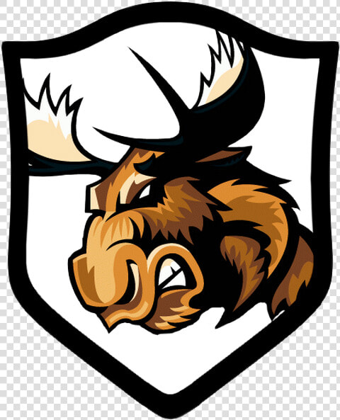 Manitoba Moose  HD Png DownloadTransparent PNG