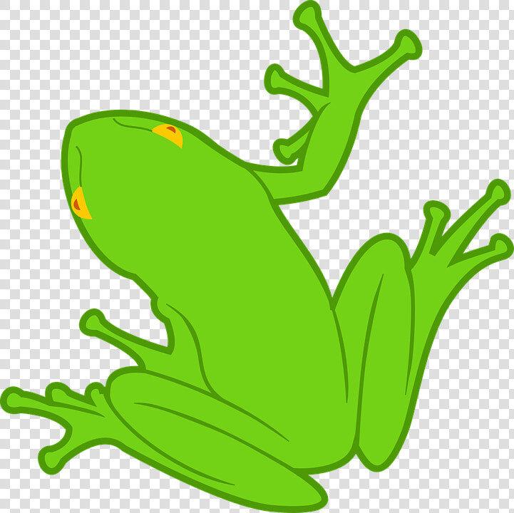 Frog Svg Clip Arts   Rana Dibujo  HD Png DownloadTransparent PNG