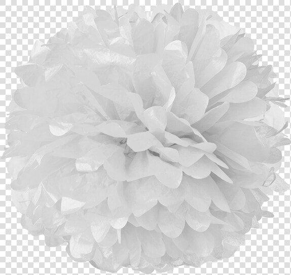 White Tissue Pom Poms   Pom Pom Png  Transparent PngTransparent PNG