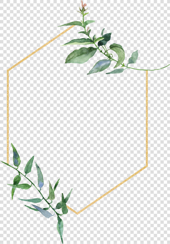 Botanic Frame  HD Png DownloadTransparent PNG