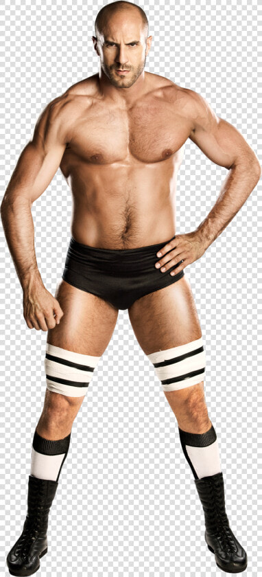 Cesaro Wwe  HD Png DownloadTransparent PNG