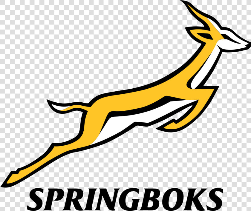 Springbok Rugby Logo  HD Png DownloadTransparent PNG