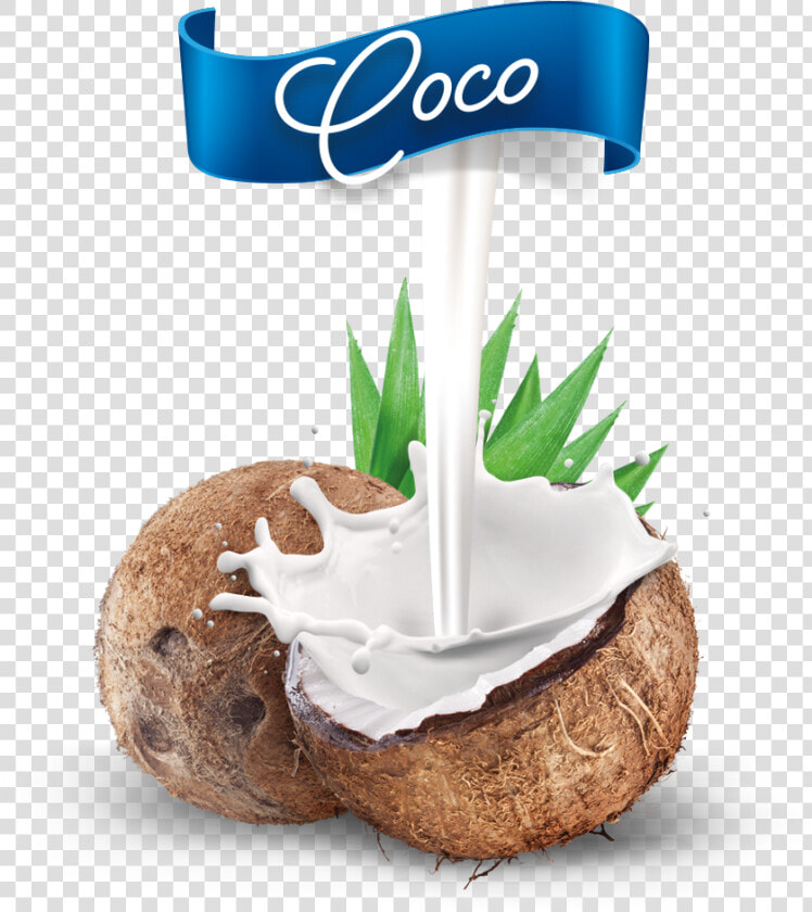 Nuevo Coco Mestre   Mestre Coco  HD Png DownloadTransparent PNG