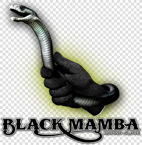 Black Mamba Png Image   Snake  Transparent PngTransparent PNG