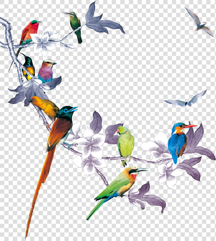 Bird And Flower Png   Imagenes De Flores Con Aves  Transparent PngTransparent PNG