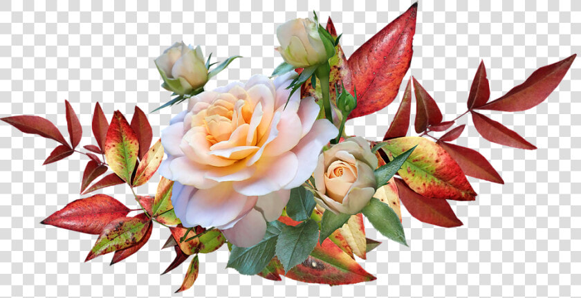 Autumn Leaves  Roses  Flowers  Garden  Nature  Cut   Autumn Leaves And Flower  HD Png DownloadTransparent PNG