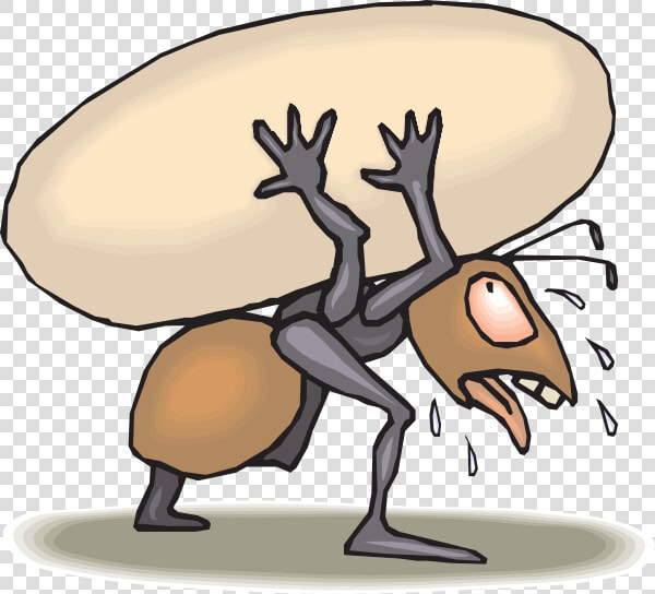 Ant Carrying Egg Svg Clip Arts   Ant Working Hard Cartoon  HD Png DownloadTransparent PNG