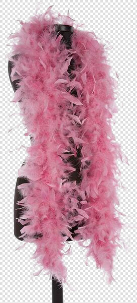 Feather Boa Transparent Background Png   Feather Boa Transparent Background  Png DownloadTransparent PNG