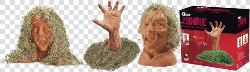 Chia Zombies Press Image   Chia Zombie  HD Png DownloadTransparent PNG