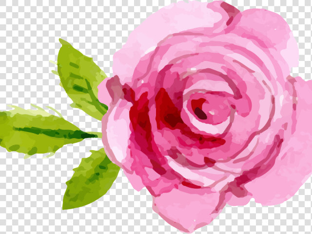 Pink Rose Clipart Transparent Background   Pink Rose Png Clipart  Png DownloadTransparent PNG