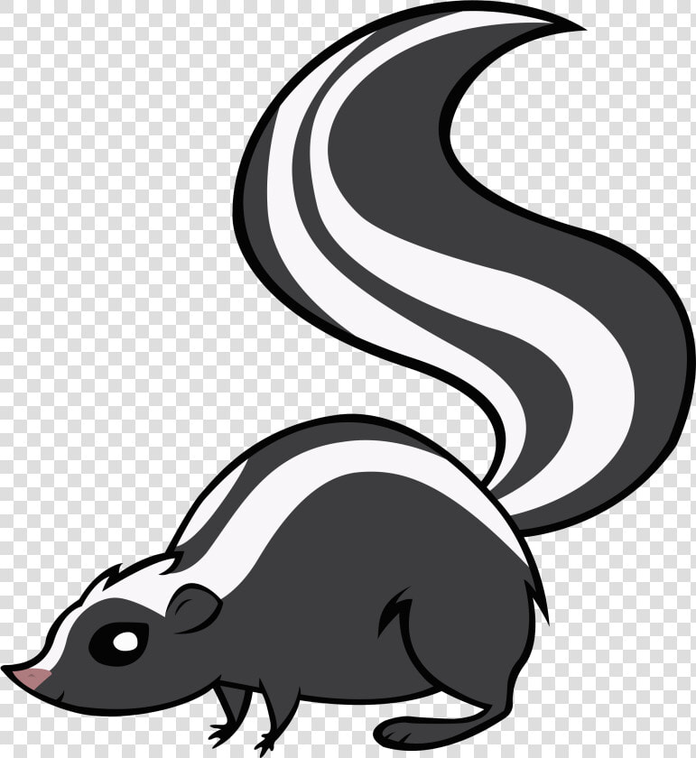 Skunk Png   Skunk Clipart Png  Transparent PngTransparent PNG