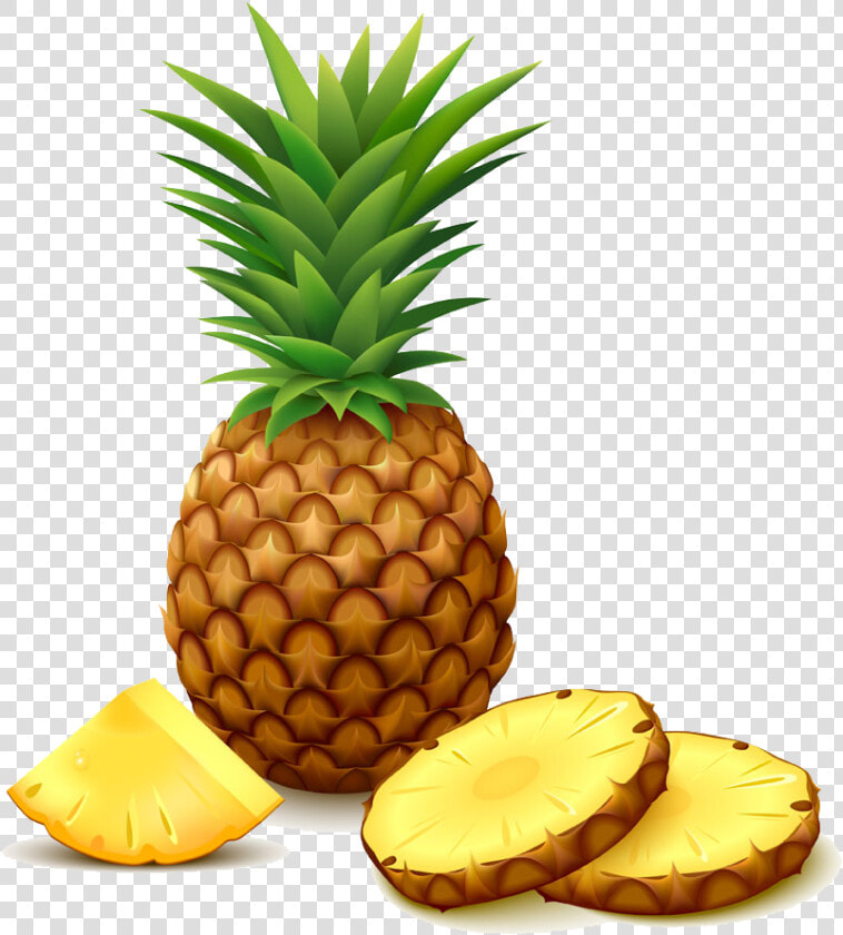 Clip Art Transprent Png Free Download Plant   Transparent Pineapple Png Clipart  Png DownloadTransparent PNG