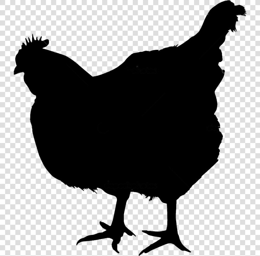 Transparent Rooster Silhouette Png   Chicken Silhouette With No Background  Png DownloadTransparent PNG