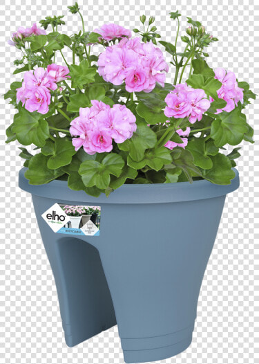 Flowerpot  HD Png DownloadTransparent PNG