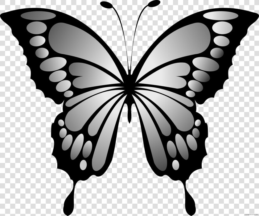 Wonderful Butterfly Animal Free Black White Clipart   Yellow And Red Butterfly  HD Png DownloadTransparent PNG