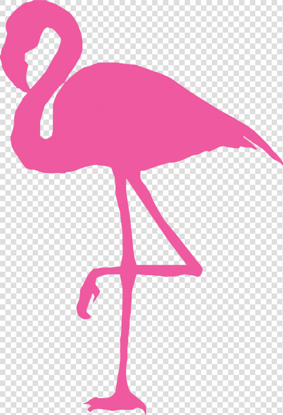 Sunglasses Clipart Flamingo   Silhouette Flamingo Clipart Png  Transparent PngTransparent PNG