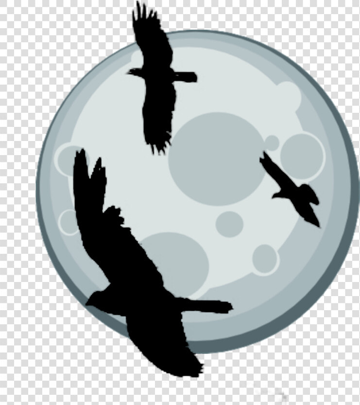 Buzzard  HD Png DownloadTransparent PNG