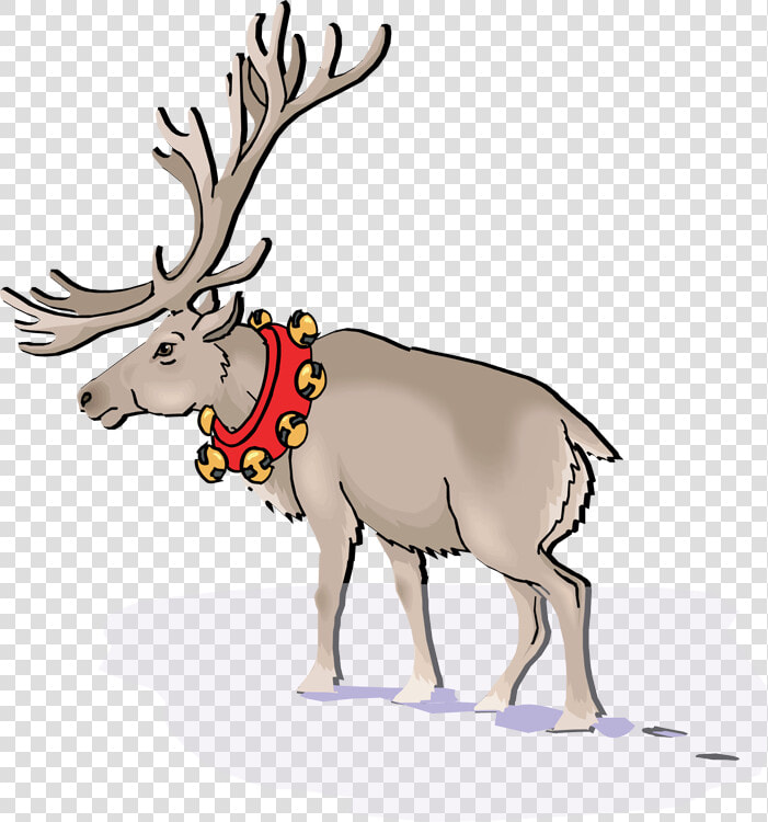 Transparent Caribou Clipart   Cartoon  HD Png DownloadTransparent PNG