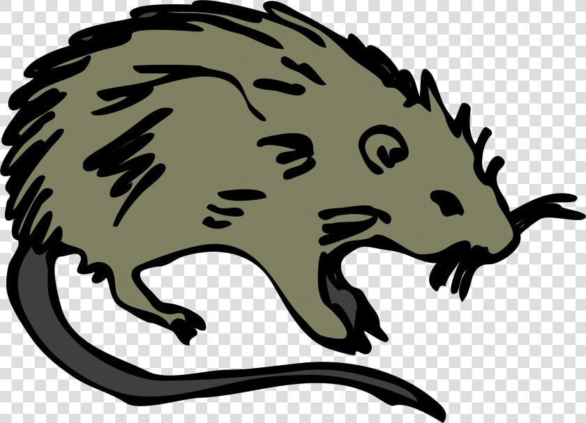 Transparent Cartoon Rat Png   Cartoon The Black Death Rats  Png DownloadTransparent PNG