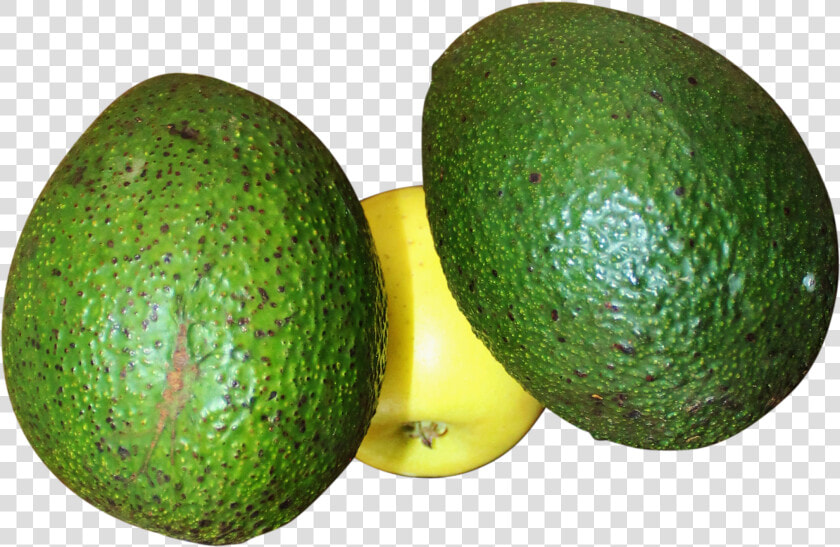 Avocado Png Image   Persian Lime  Transparent PngTransparent PNG