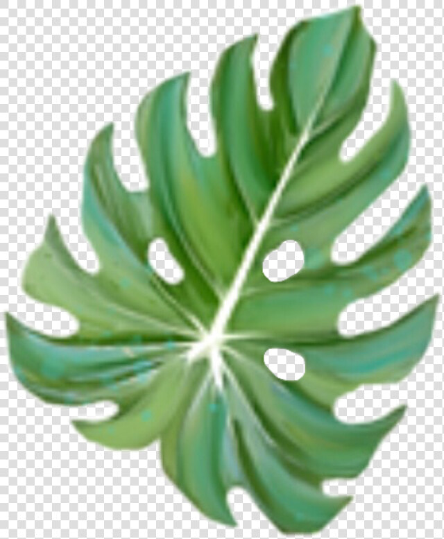  freetoedit  monstera  leaf   Christmas Tree  HD Png DownloadTransparent PNG