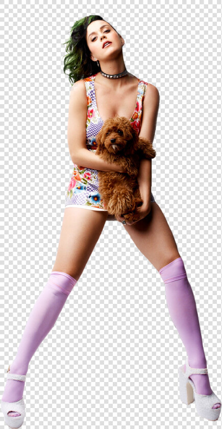 Transparent Ariana Grande Png Full Body   Katy Perry Sexy Png  Png DownloadTransparent PNG