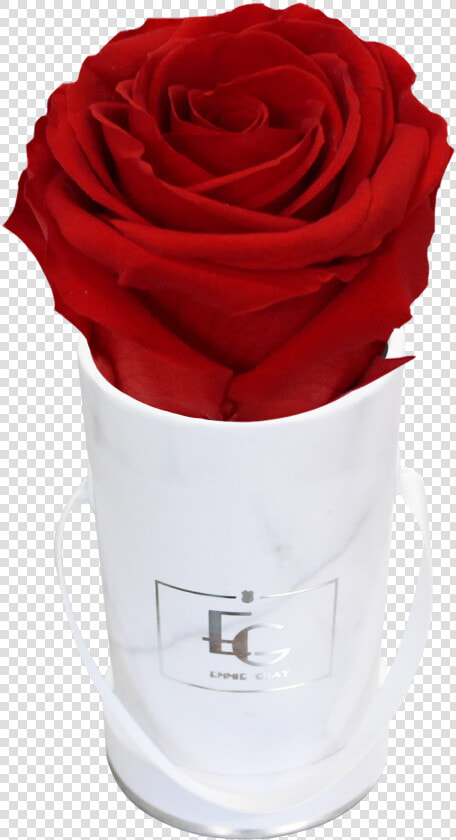 Classic Infinity Rosebox   Emmie Gray Rose  HD Png DownloadTransparent PNG