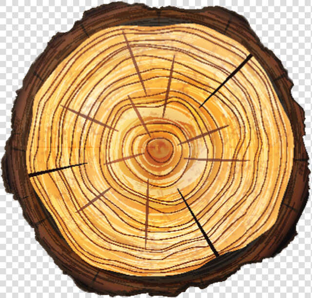 Tree Removal Alpharetta  Ga   Top Tree Stump Png  Transparent PngTransparent PNG