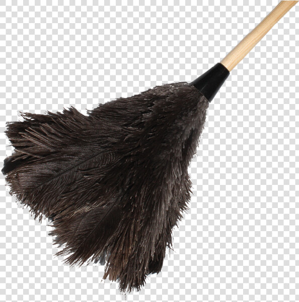 Duster Cleaning Png   Cleaning Duster Icon Png  Transparent PngTransparent PNG