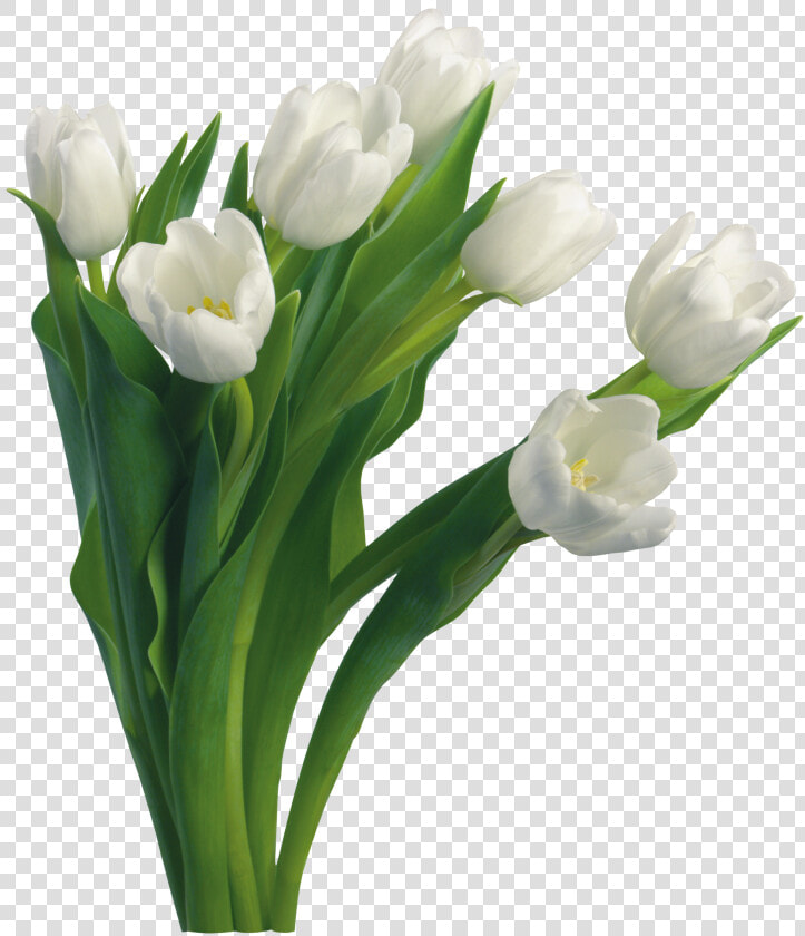 Bouquet Flowers Png   Transparent Background White Bouquet Png  Png DownloadTransparent PNG