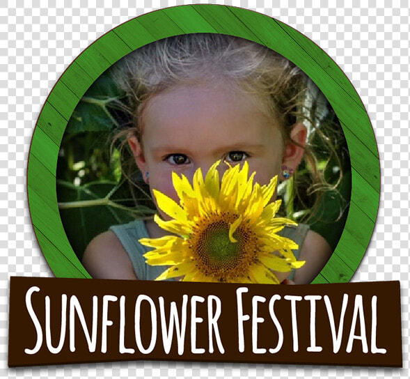 Explore Our Sunflower Fields During Our Annual Sunflower   Sunflower  HD Png DownloadTransparent PNG