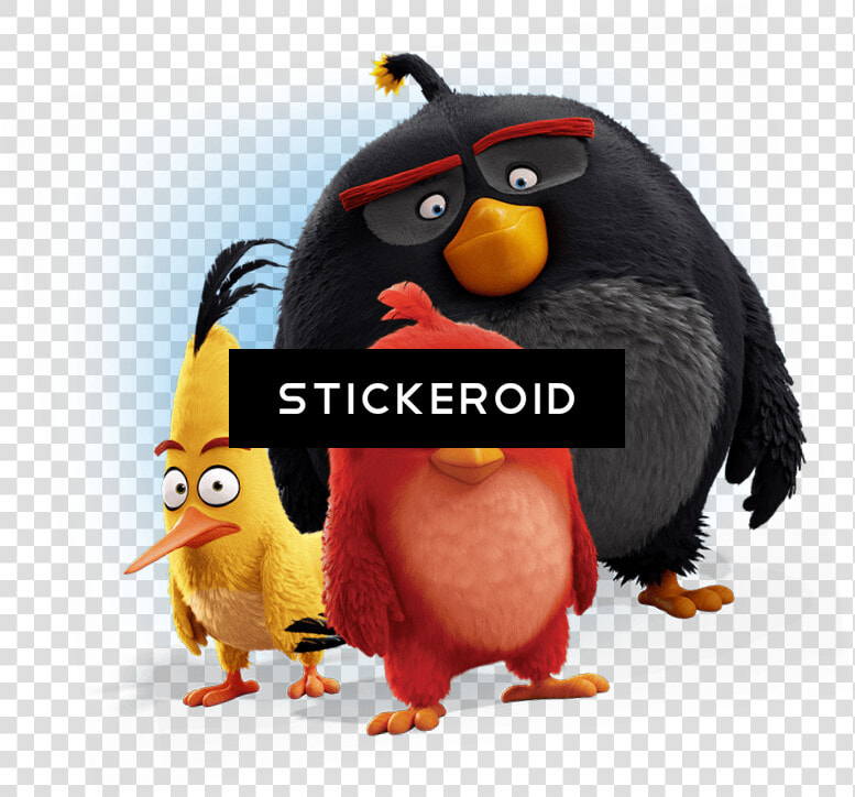 Angry Bird   Png Download   Angry Birds Wallpaper Iphone  Transparent PngTransparent PNG