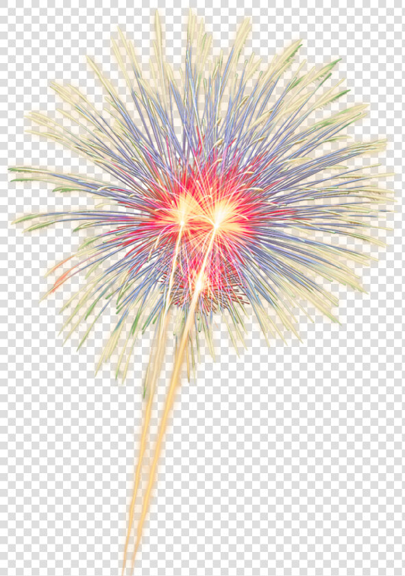 Fireworks Clipart Sparkle   Sparkle Fireworks Clip Art  HD Png DownloadTransparent PNG