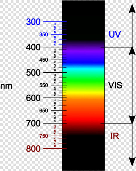 Closest Light Outside The Visible Spectrum  HD Png DownloadTransparent PNG