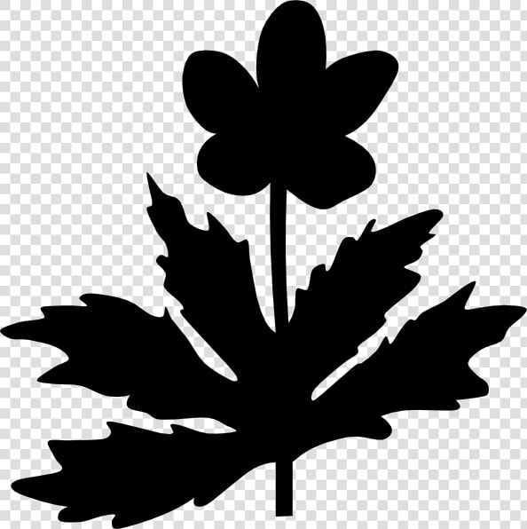 Maple Leaf Clip Art Silhouette Flower   Maple Leaf  HD Png DownloadTransparent PNG