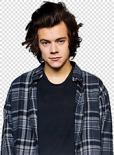  harrystyles  louistomlinson  louis  png  zainmalik   Harry Styles Png 2017  Transparent PngTransparent PNG