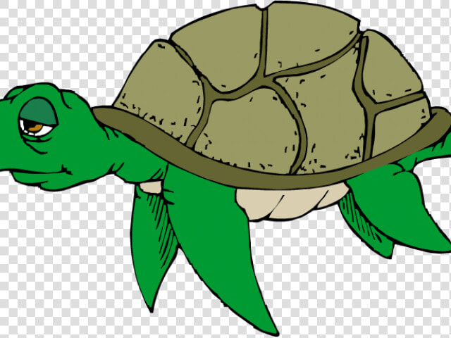 Sea Turtle Clipart Cute   Sad Sea Turtle Clipart  HD Png DownloadTransparent PNG