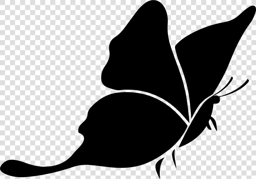 Butterfly Silhouette 3 Icons Png   Silhouette Butterfly Clipart Black And White  Transparent PngTransparent PNG