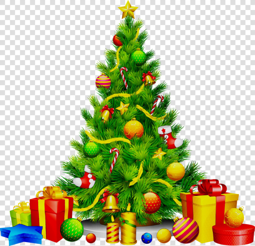 Christmas Tree Cartoon Clipart Christmas Tree Christmas   Christmas Tree Clipart Hd  HD Png DownloadTransparent PNG