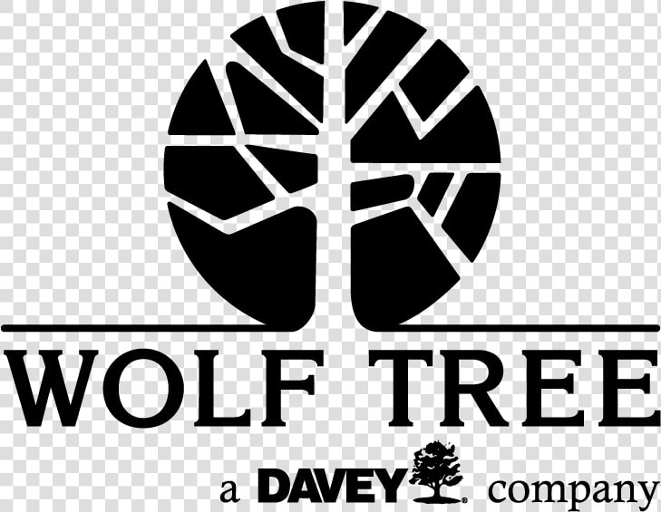 Wolf Tree Inc   Wolfe Tree  HD Png DownloadTransparent PNG