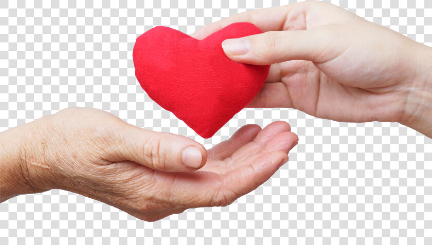 Hands Giving Heart   Png Download   Giving Hands With Heart  Transparent PngTransparent PNG