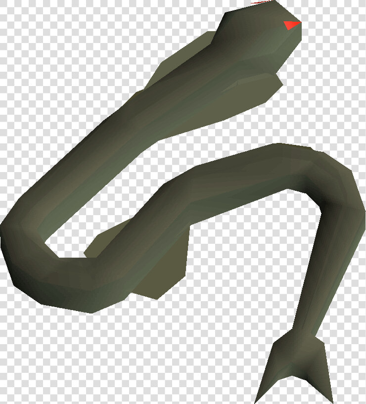 Runescape Eel  HD Png DownloadTransparent PNG