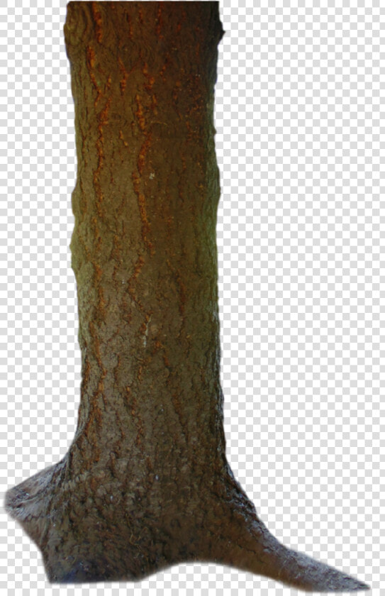 Tronco Png 4 » Png Image   Tree Body Png  Transparent PngTransparent PNG