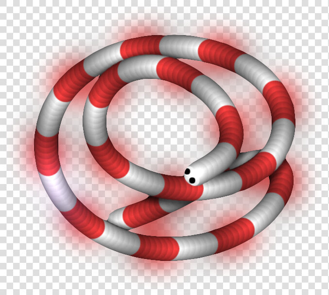 Sonoran Coral Snake  HD Png DownloadTransparent PNG