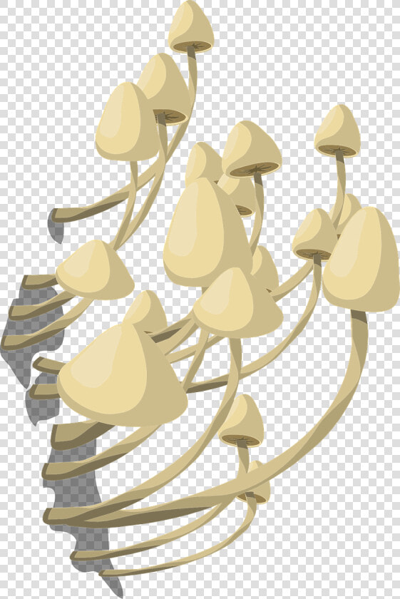 Fungi Png  Transparent PngTransparent PNG