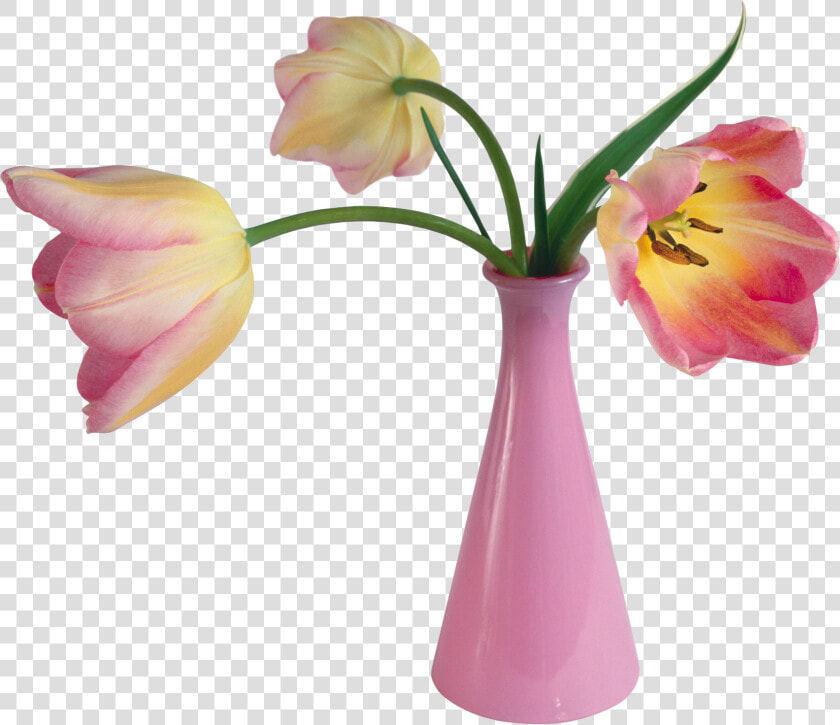 Vase Png   عکس طراحی گل گلدان  Transparent PngTransparent PNG