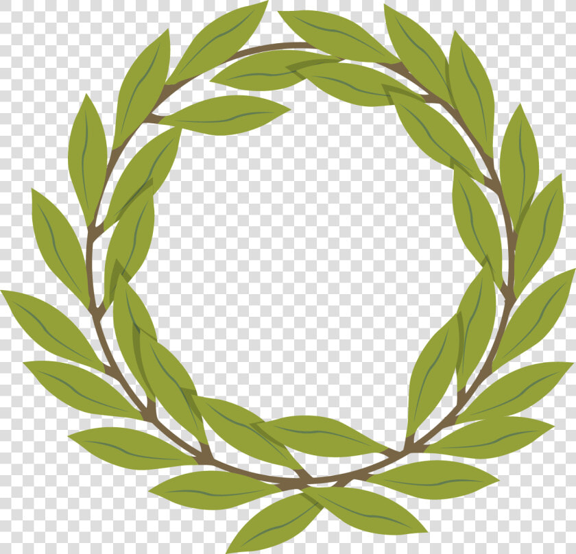 Vector Olive Branch Decoration Png Download   Olive Branch Vector Png  Transparent PngTransparent PNG